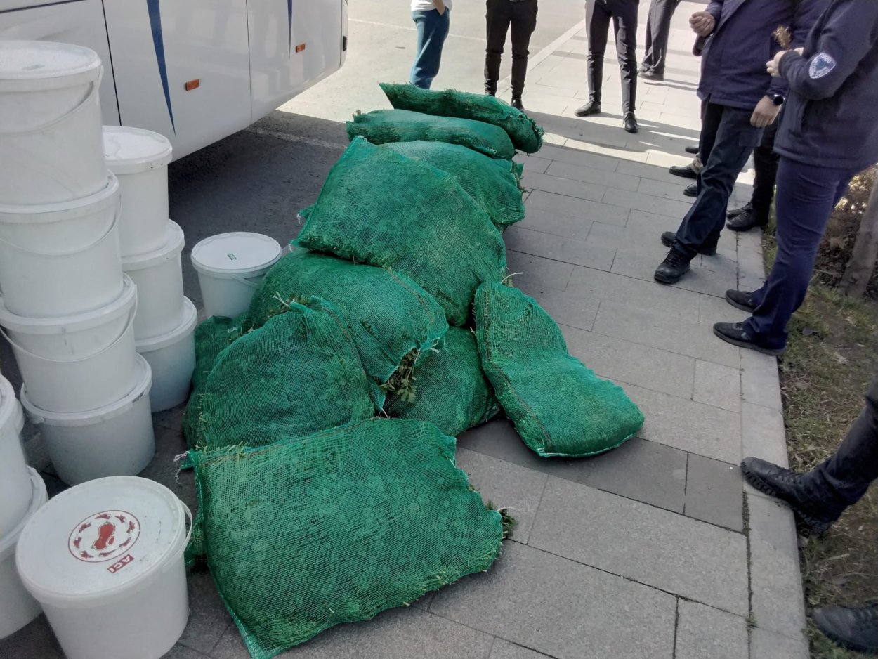 Ordu'da Sağlıksız Koşullarda Taşınan 1 Ton Salça ve 20 Çuval Maydanoz Yakalandı